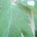 340003_20181122162422_01.JPG