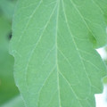 340003_20181122162443_01.JPG