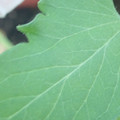 340003_20181122162449_01.JPG