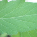 340003_20181122162453_01.JPG