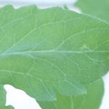 340003_20181122162501_01.JPG