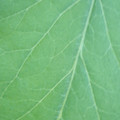 340003_20181122162533_01.JPG