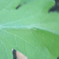 340003_20181122162546_01.JPG