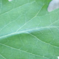 340003_20181122162650_01.JPG