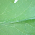 340003_20181122162729_01.JPG