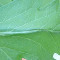 340003_20181122162737_01.JPG