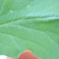 340003_20181122162738_01.JPG
