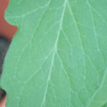 340003_20181122162741_01.JPG