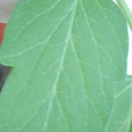 340003_20181122162742_01.JPG