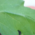 340003_20181122162746_01.JPG