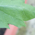 340003_20181122162759_01.JPG