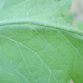 340003_20181122162809_01.JPG