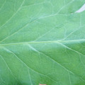 340003_20181122162828_01.JPG