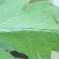 340003_20181122162841_01.JPG