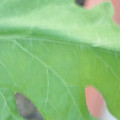 340003_20181122163028_01.JPG