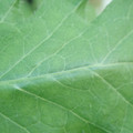 340003_20181122163051_01.JPG