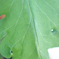 340003_20181122163102_01.JPG