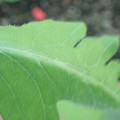 340003_20181122163123_01.JPG