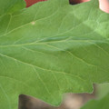 34004_20181001105551_01.JPG