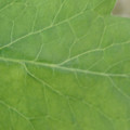 34004_20181001105557_01.JPG