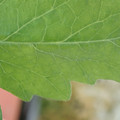 34004_20181001105558_01.JPG