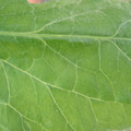 34004_20181001105612_01.JPG