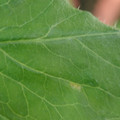 34004_20181001105626_01.JPG