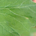 34004_20181001105627_01.JPG