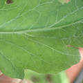 34004_20181001105633_01.JPG
