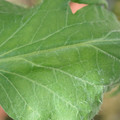 34004_20181001105638_01.JPG