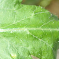 34004_20181001105643_01.JPG
