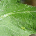 34004_20181001105644_01.JPG