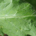 34004_20181001105651_01.JPG