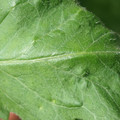 34004_20181001105652_01.JPG