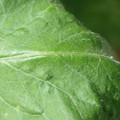 34004_20181001105653_01.JPG