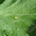 34004_20181001105657_01.JPG