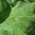 34004_20181001105658_01.JPG