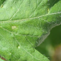 34004_20181001105659_01.JPG