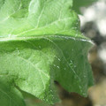 34004_20181001105703_01.JPG
