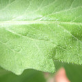 34004_20181001105707_01.JPG
