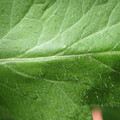 34004_20181001105708_01.JPG