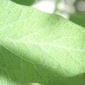 34004_20181001105712_01.JPG