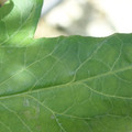 34004_20181001105717_01.JPG