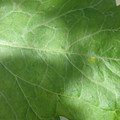 34004_20181001105727_01.JPG