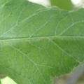 34004_20181001105739_01.JPG