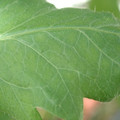 34004_20181001105739_02.JPG