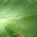 34004_20181001105740_01.JPG