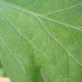 34004_20181001105743_01.JPG