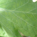 34004_20181001105744_01.JPG