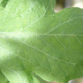 34004_20181001105744_02.JPG